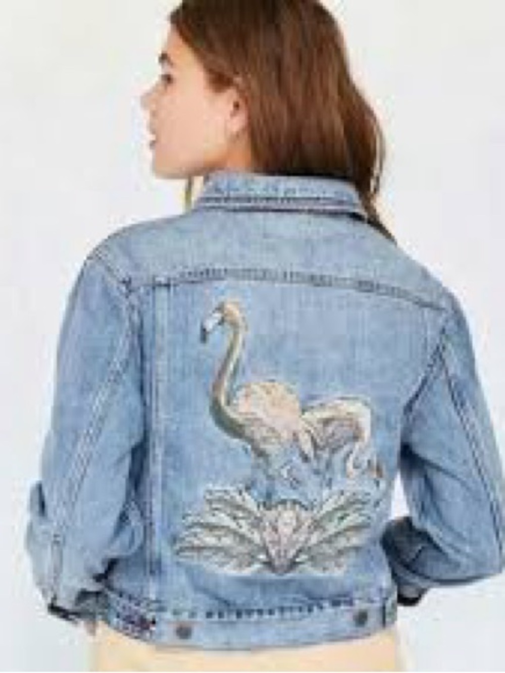 Urban Outfitters BDG embroidered denim jacket flamingos